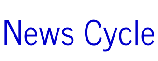 News Cycle fonte